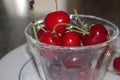 Red cherries, delicious and colorful summer fruit