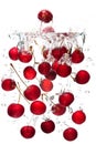 Red cherries falling in water Royalty Free Stock Photo
