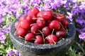 Red cherries Royalty Free Stock Photo