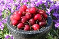 Red cherries Royalty Free Stock Photo