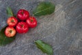 Red cherries fruit. Royalty Free Stock Photo