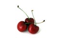 Red Cherries Isolated Royalty Free Stock Photo