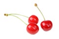 Red Cherries Isolated on White Background Royalty Free Stock Photo