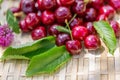 Red cherries. Juicy cherries on a wooden surface in the garden in a summer day. Sunny day. Sweet fruits. Shallow depth of field. Royalty Free Stock Photo