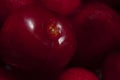 Cherries macro, very close-up