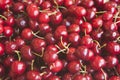 Red cherries Royalty Free Stock Photo