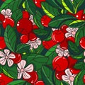 Red cherries seamless pattern Royalty Free Stock Photo