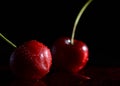 Red cherries still life picture Royalty Free Stock Photo