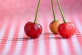 Red cherries still life Royalty Free Stock Photo