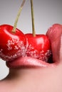 Red cherries with sugar Royalty Free Stock Photo