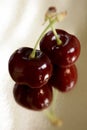 Red Cherries