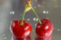 Red Cherries Royalty Free Stock Photo