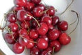Red cherries in a white bowl Royalty Free Stock Photo