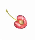 Cherry. Red cherries. Watercolor hand drawn illustration isolated on white background. Royalty Free Stock Photo