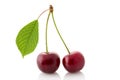 Red cherry close up Royalty Free Stock Photo