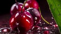 Red cherry close-up with water drops on black. Banner with red cherries berry and green leaves, juicy splash Royalty Free Stock Photo