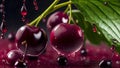 Red cherry close-up with water drops on black. Banner with red cherries berry and green leaves, juicy splash Royalty Free Stock Photo