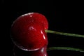 Red cherry closeup Royalty Free Stock Photo