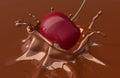 Red cherry falling and splashing into chocolate. Royalty Free Stock Photo