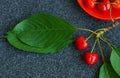red cherry fruit Royalty Free Stock Photo