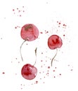 Red cherry. Hand drawn watercolor illustration isolated on white background Royalty Free Stock Photo