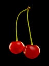 Red cherry isolated on black background Royalty Free Stock Photo