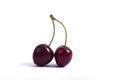 Red cherry isolated at white background Royalty Free Stock Photo