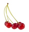 Red cherry isolated on white background close up Royalty Free Stock Photo