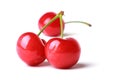 Red Cherry Royalty Free Stock Photo