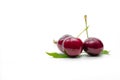 Red cherry with stalk and leaf isolated on white background. Ripe red sweet cherry. Sweet and juicy organic cherry. Fresh fruit Royalty Free Stock Photo