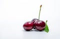 Red cherry with stalk and leaf isolated on white background. Ripe red sweet cherry. Sweet and juicy organic cherry. Fresh fruit Royalty Free Stock Photo