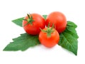 Red cherry tomato Royalty Free Stock Photo