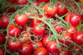Red cherry tomato Royalty Free Stock Photo