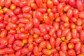 Red Cherry Tomato Background. Royalty Free Stock Photo