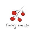 Red cherry tomato sign. Vector flat illustration. Vegetable logo