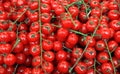 Red cherry tomatoe background Royalty Free Stock Photo
