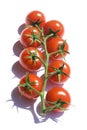 Red cherry tomatoes Royalty Free Stock Photo