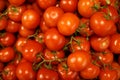 red cherry tomatoes background Royalty Free Stock Photo