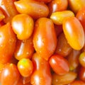 Red Cherry Tomatoes Royalty Free Stock Photo