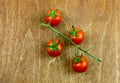 Red cherry tomatoes on a green branch on wooden background Royalty Free Stock Photo