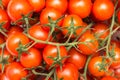 Red Cherry Tomatoes On Green Vine Royalty Free Stock Photo