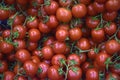 Red Cherry Tomatoes Group Royalty Free Stock Photo