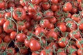 Red Cherry Tomatoes Group Royalty Free Stock Photo