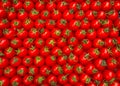 Red cherry tomatoes. Original background.