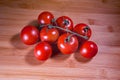 Red Cherry Tomatoes on the Vine Royalty Free Stock Photo