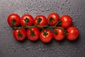 Red cherry tomatoes on a vine isolated on a black wet background Royalty Free Stock Photo