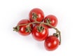 Red cherry tomatoes on withered branch on white background