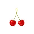 Red cherry. Two ripe berries with stalk. Sweet fruits. Cherries isolated on transparent background Royalty Free Stock Photo