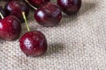 Red cherry with water drop on the sackcloth Royalty Free Stock Photo