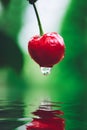 Red cherry with water dropping into a pool Royalty Free Stock Photo